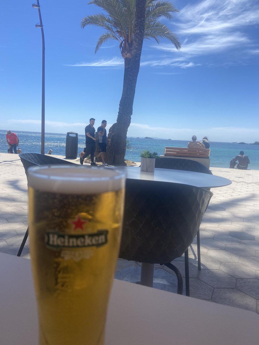 Stef Couture tweet media