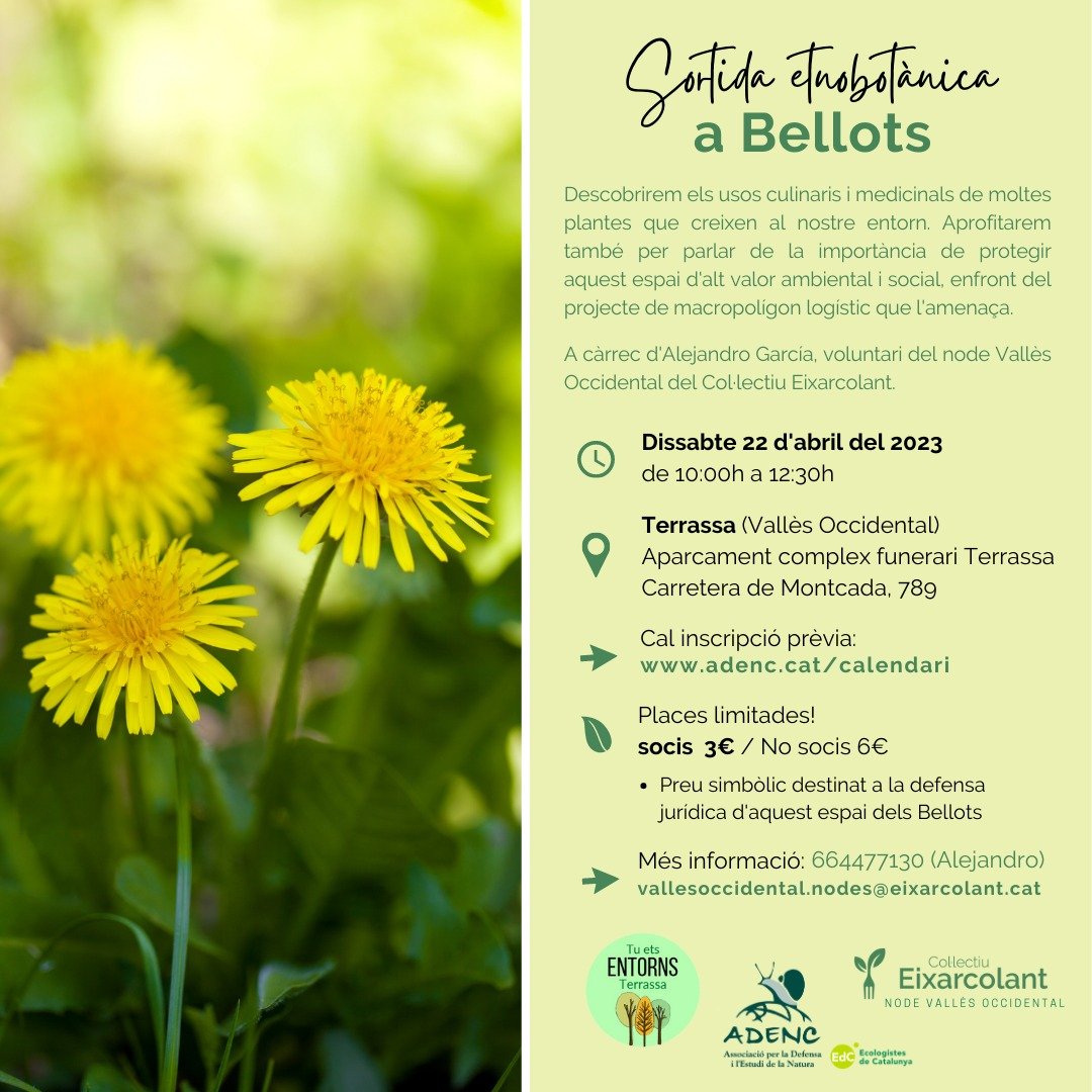 🌱 Sortida etnobotànica per descobrir els usos culinaris i medicinals de les plantes silvestres dels Bellots.
🗓️ Dissabte 22 d'abril de 10h a 12:30h. 
📍 Aparcament del Complex Funerari de Terrassa, Carretera de Montcada 789.
📝Cal inscripció prèvia (socis 3€/no socis 6€)