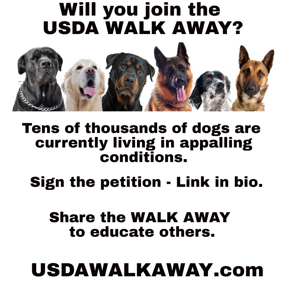 USDAWalkAway's tweet photo. Want to help end puppy mill cruelty? Please follow us and share our posts with others so they can help too. We will be announcing how you can help change the lives of 250,000 puppy mill dogs living in appalling conditions very soon. https://t.co/GMLjWMzspz