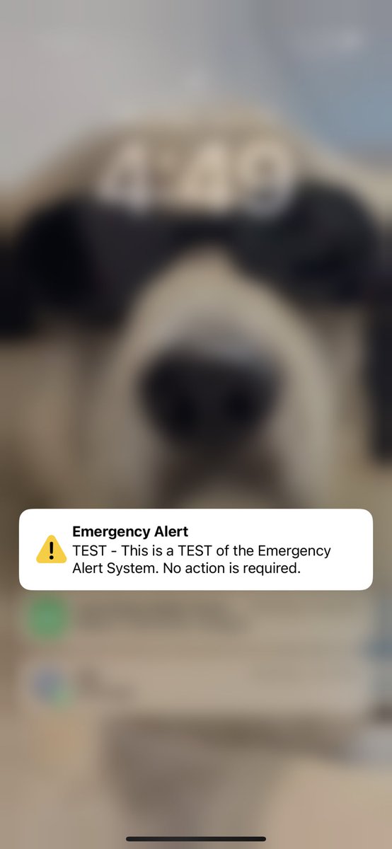 This was my one day this week to sleep in. Thanks for ruining that for me Florida 😒😒😒 #emergencyalert