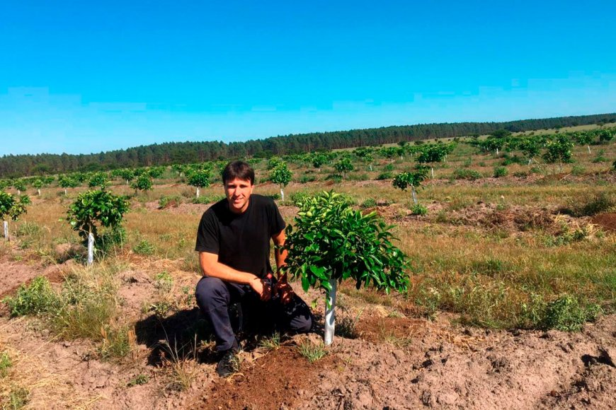 ciudadana897's tweet photo. #AHORA en #TareaFina,🗣️📞 Martín González, de @CECNEA_arg  sobre la incorporación del citrus al dolar agro (@AgriculturaAR) y los requisitos solicitados por el ministro @JuanjoBahillo para que la medida no impacte en el mercado interno. @LauraTerenzano @lucre_karma https://t.co/oCcLBWZzi8