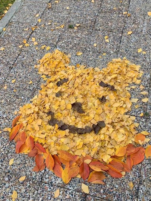 heliya90's tweet photo. It's smiling at everyone and everyone who sees it is having fun every day😊 https://t.co/XjYieacHXJ