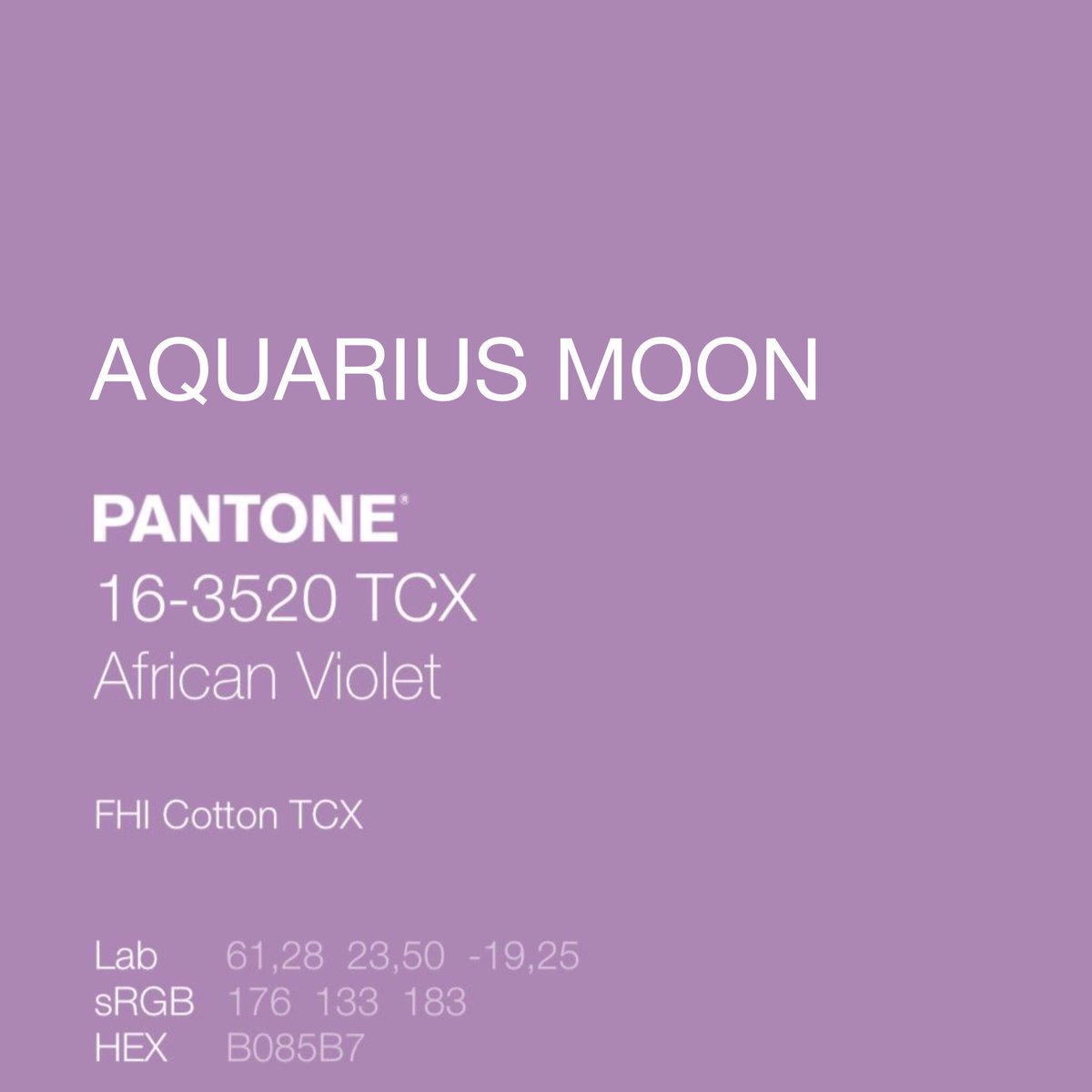 HF HAVEN tweet media