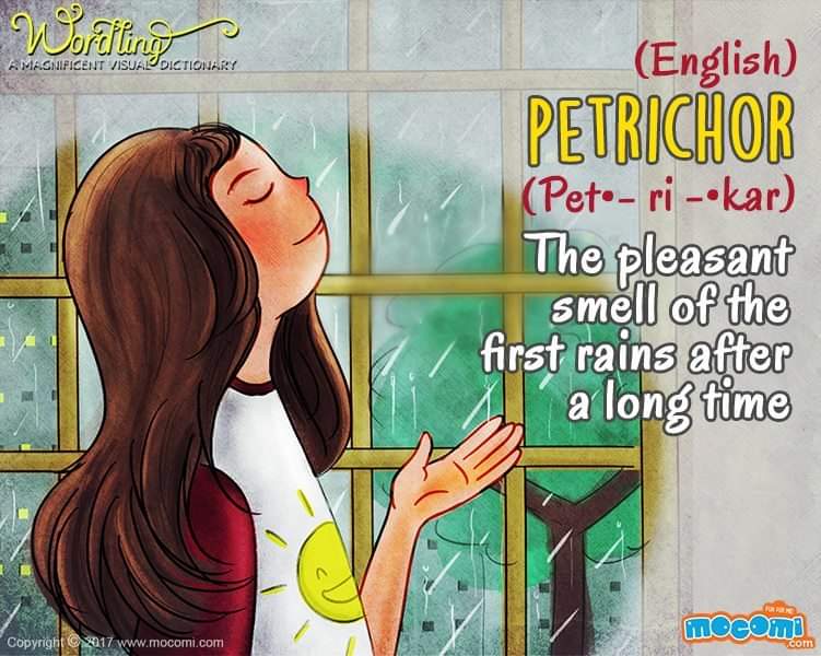 MocomiKids's tweet photo. #Petrichor is the wonderful, earthy smell that rises from the ground after the first drops of rain fall. Breathe deep the next time you're outdoors at the start of a rain shower, & you'll experience petrichor for yourself!
https://t.co/ZpFb94yKM7
#VisualDictionary #MocomiKids https://t.co/hoGyo7tghk