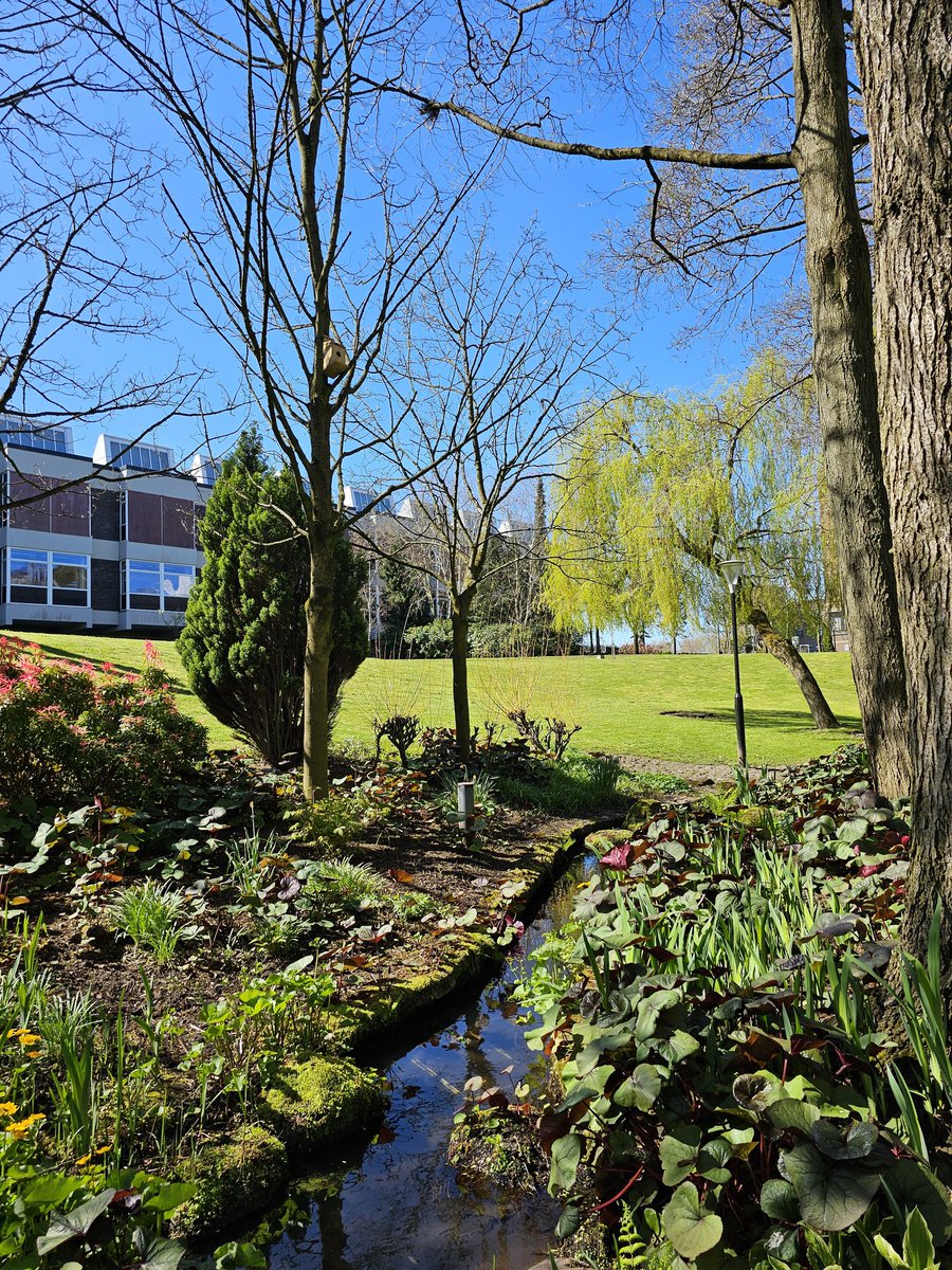 University of Strathclyde tweet media