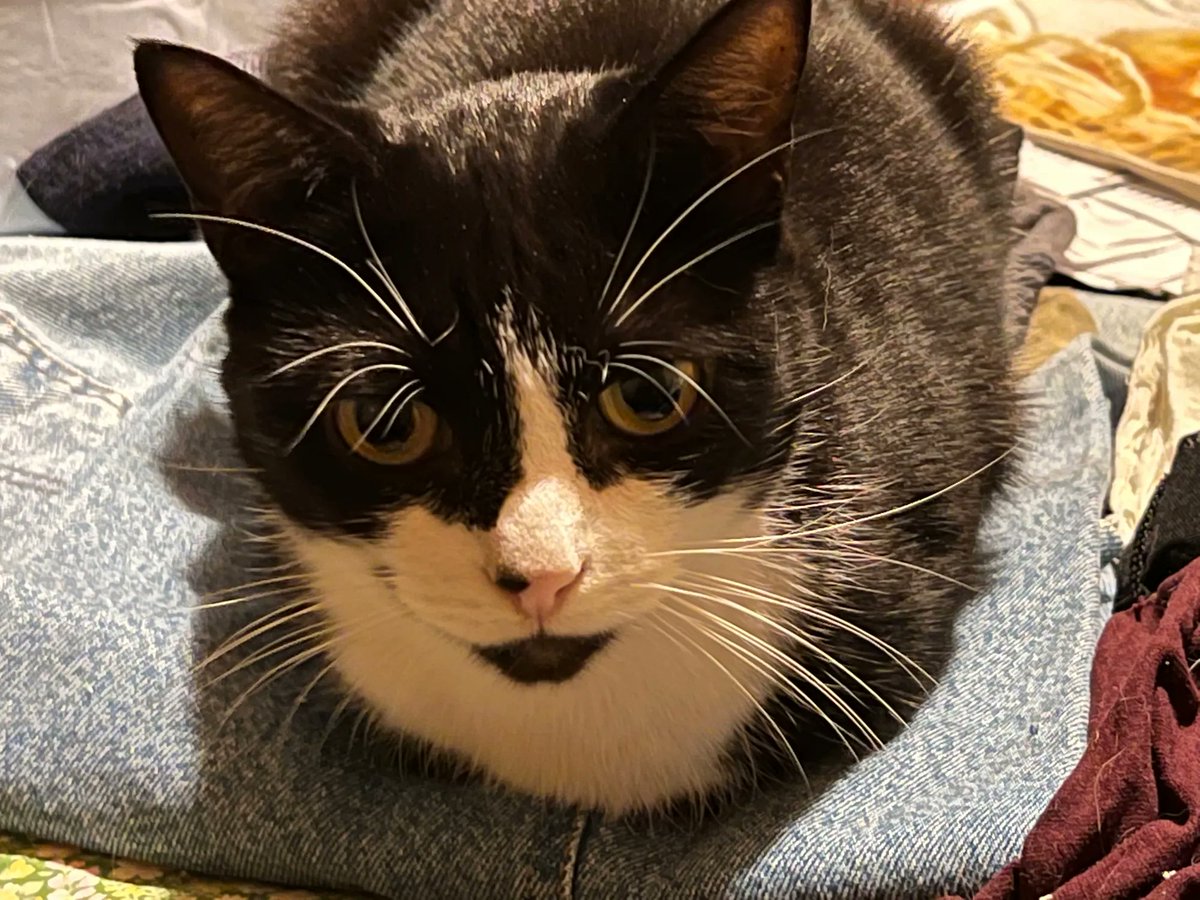 David John Jones tweet media