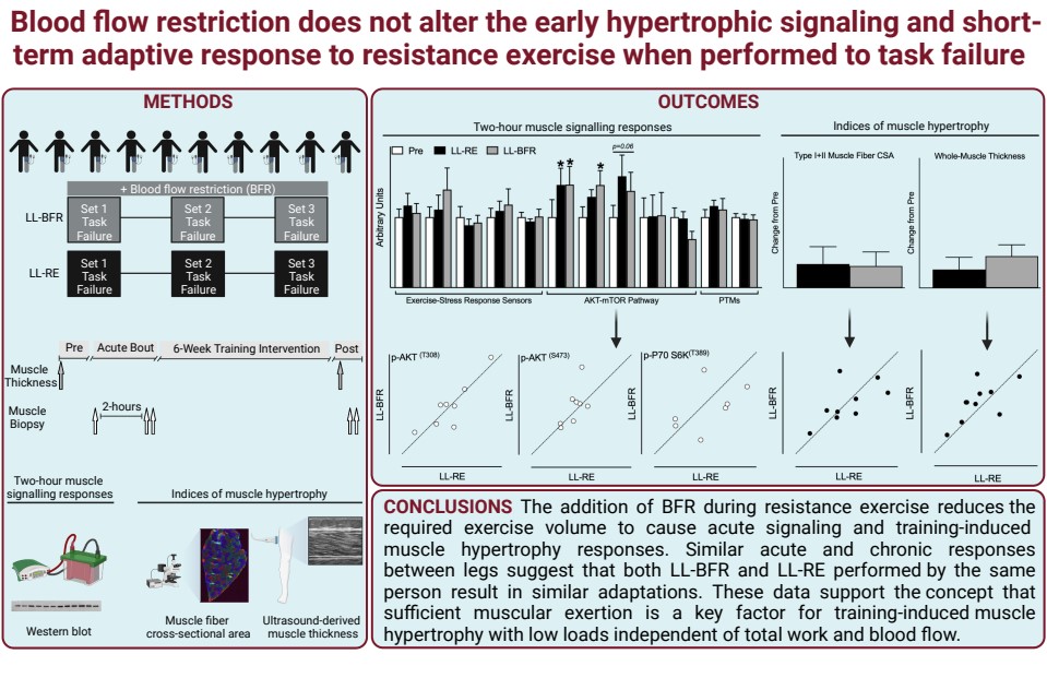 Journal of Applied Physiology (@japplphysiol) on Twitter photo #ArticlesInPress 
“Blood flow restriction does not alter the early hypertrophic signaling and short-term adaptive response to resistance exercise when performed to task failure” Christopher Pignanelli, et al. 
ow.ly/gHeJ50NLLJi
#JAPPL #Ischemia #OxygenAvailability #ArticlesInPress 
“Blood flow restriction does not alter the early hypertrophic signaling and short-term adaptive response to resistance exercise when performed to task failure” Christopher Pignanelli, et al. 
ow.ly/gHeJ50NLLJi
#JAPPL #Ischemia #OxygenAvailability