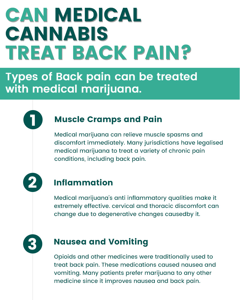 Sophiacarter192's tweet image. Many people experience back discomfort, which is a sort of persistent pain.  #cbd #thcfree #medicalmarijuana #winkinweed #greenpotmd #ganjalove #hemp #doctors #cannabis #backpain #unitedstate #inflammation #musclecramps #nausea #vomiting visit here : bit.ly/3H1buP7