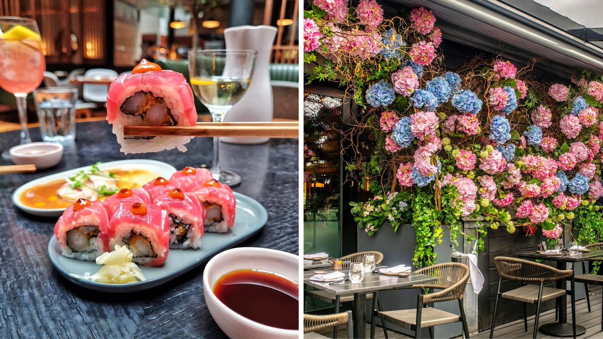 DesignMyNight's tweet photo. This is your chance to get £1,000 to eat and review sushi brunches in the UK 🍣🥂

You’ve got to be in it to win it 👇🍥

https://t.co/h6PwDtEucH https://t.co/ONJcdUlO7D
