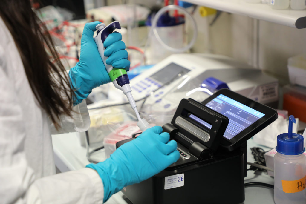Fondaz_Telethon's tweet image. 🧬@FondCariplo e Fondazione Telethon: 21 progetti per la ricerca di base nell’ambito delle malattie rare, risorse per 5 mln di euro.
🔬 Selezionati i migliori progetti sul bando 2022, per studiare porzioni ancora oscure del nostro patrimonio genetico.
👉 telethon.it/storie-e-news/…