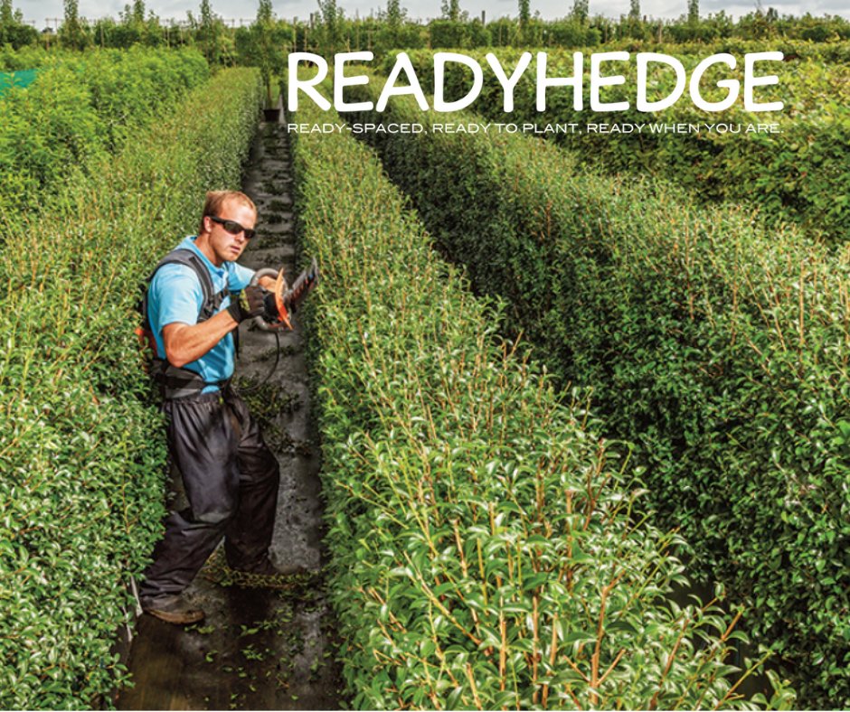 Readyhedge's tweet image. Get expert advice on hedging plants for your garden or landscaping project! 🌿💬 Our friendly team at Readyhedge is ready to assist you. Contact us at 01386 750 585. #gardening #landscaping #hedges