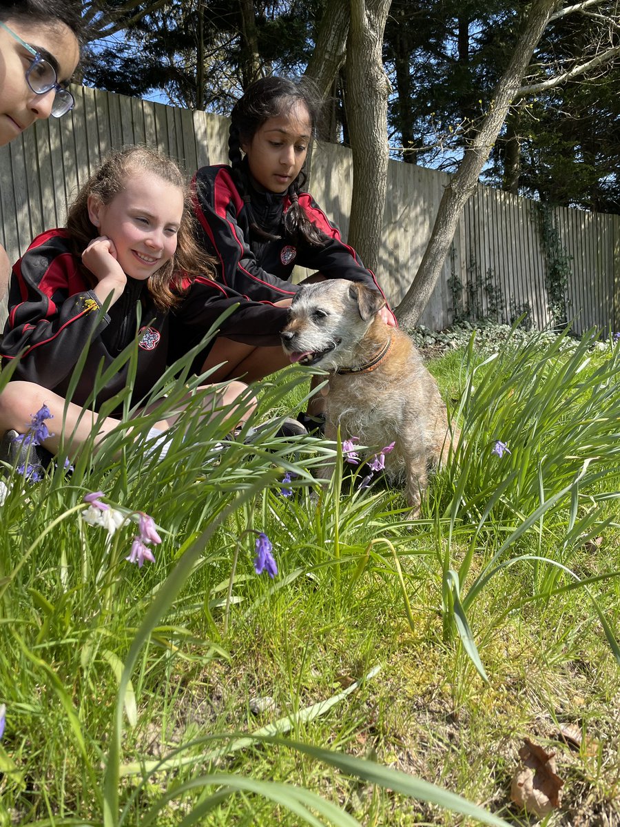 BGS_Outdoors's tweet photo. Some of the Year 6 children and a furry friend, enjoying the sunshine and wonderful bluebells in the school grounds whilst discussing what Earth Day mean to us. @BishopsgateSch https://t.co/uAx9vKGU8e
