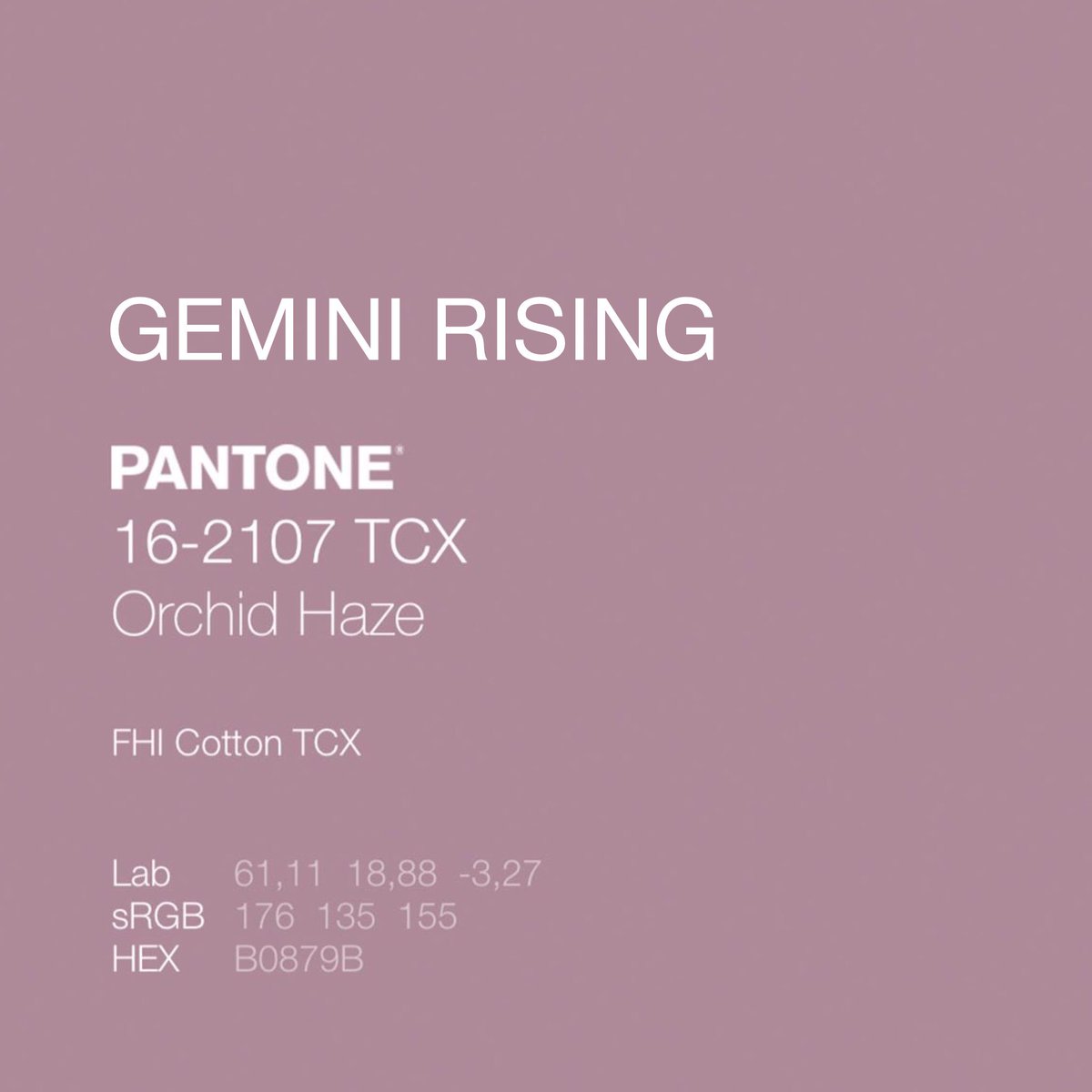 Meg • @bortion saves lives tweet media