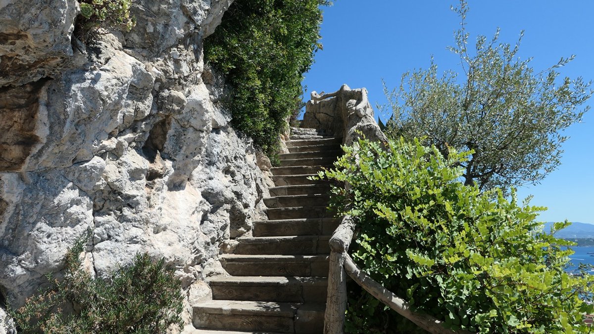 Le très beau jardin Exotique de Monaco, un pur moment d'évasion
#Monaco #CotedAzurFrance #JeudiPhoto #VisitCotedAzur #Tourisme #photodujour <a href="/VisitCotedazur/">Côte d'Azur France</a>