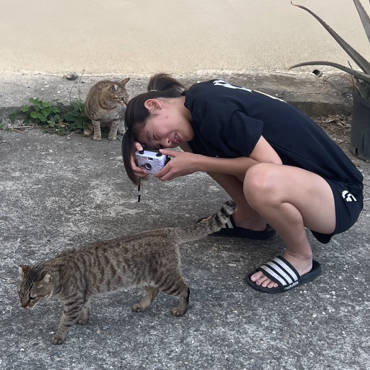 fuheichen's tweet photo. 我們是一間民宅、老房改造，座落在小琉球巷弄內。
簡易的設備和復古的佈置，讓你有回到家的舒適感。
Instagram：staysalty2019
☎️0988099722(LINE)
✳️+886 913295887(WhatsApp)
#taiwan #diving #homestay #besthost #liuqiuisland #guesthouse #小琉球民宿 #虎斑貓 #老屋民宿 #老宅 #老房子 https://t.co/3wWECMTG6u