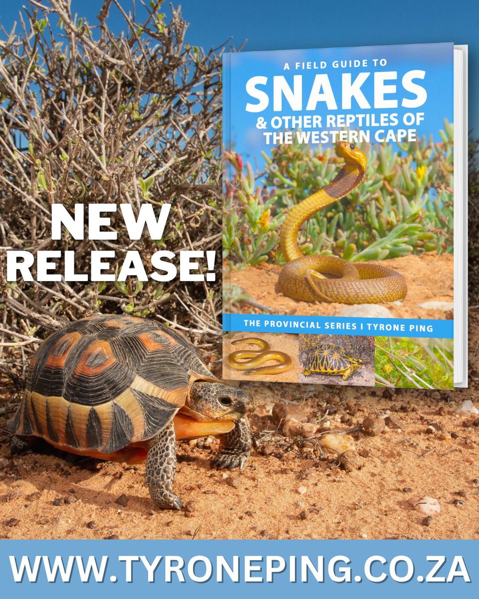 itsrobotface's tweet image. I'm ecstatic to announce my NEW book A FIELD GUIDE TO THE SNAKES &amp;amp; OTHER REPTILES OF THE WESTERN CAPE  is now available exclusively on my website

Limited quantities now AVAILABLE! tyroneping.co.za/product/a-fiel…