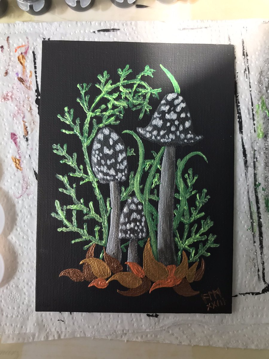 AnsuzLaguzArt's tweet photo. My daughter loves toadstools &amp; mushroom fairies so I’ve done a set of paintings for her. Fly agaric - traditional toadstool, lilac bonnet - pretty &amp; pink, and magpie inkcap - goth shroom. #iampainting #artistsoftwitter #acryliconcanvas https://t.co/9CVqzwhmGq