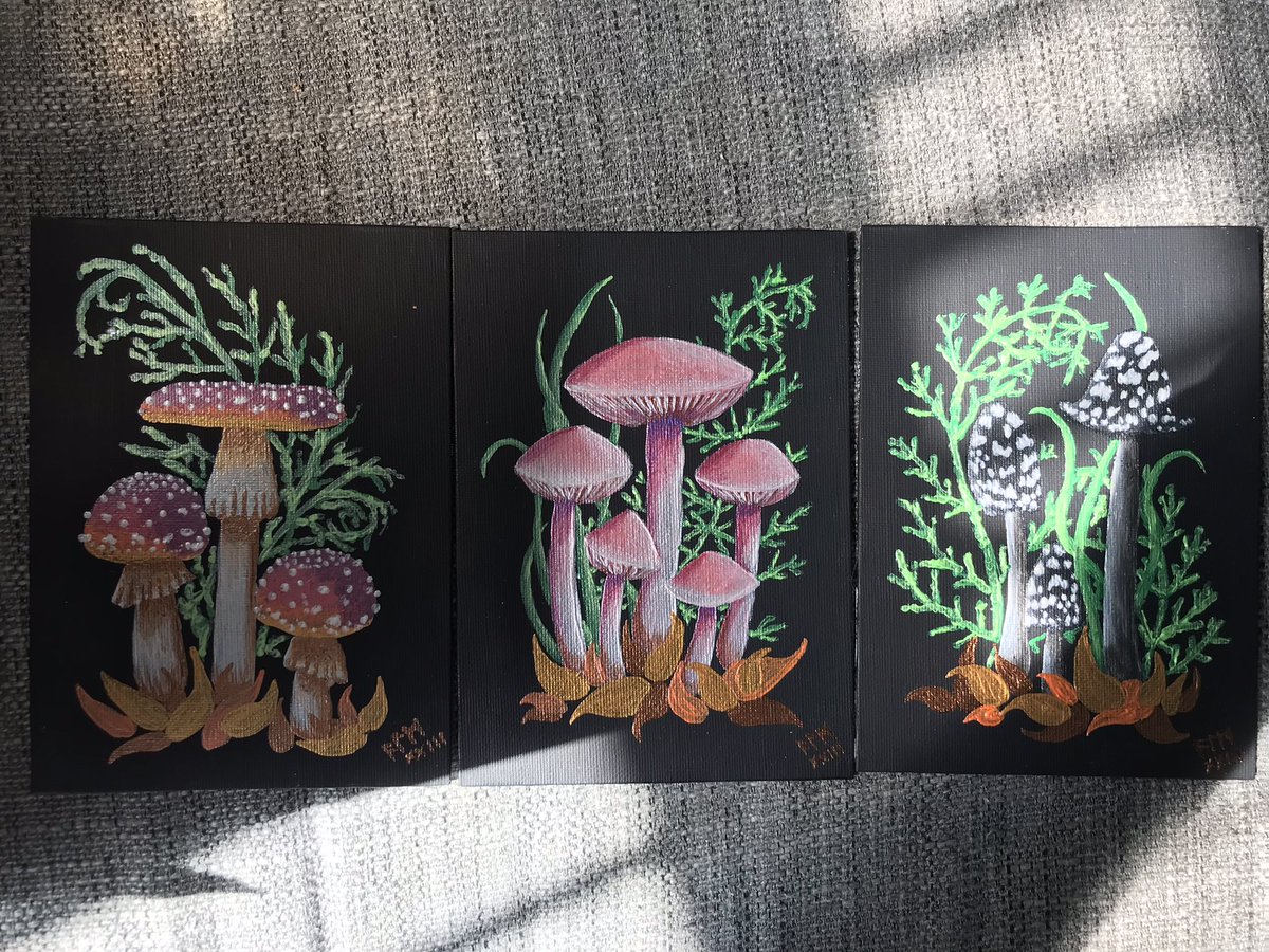 AnsuzLaguzArt's tweet photo. My daughter loves toadstools &amp; mushroom fairies so I’ve done a set of paintings for her. Fly agaric - traditional toadstool, lilac bonnet - pretty &amp; pink, and magpie inkcap - goth shroom. #iampainting #artistsoftwitter #acryliconcanvas https://t.co/9CVqzwhmGq
