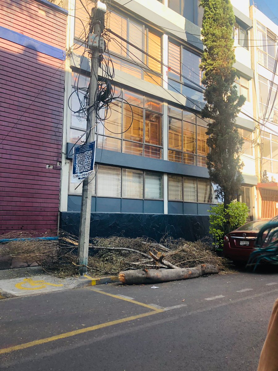 ALSOL100's tweet photo. @STaboadaMx  SrAlcalde. Sobre la calle de Indiana, en la Nápoles,  junto a la escuela primaria Hispanoamerica,esc. pública, talaron unos árboles y dejaron troncos y ramas sobre las banquetas, impidiendo el paso de la entrada a los niños. Esto tiene ya una semana.@Claudiashein https://t.co/pJSoOOsS8P