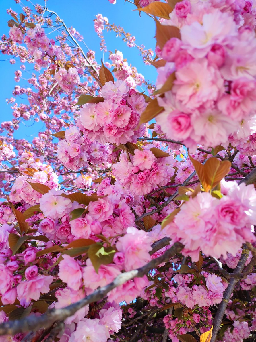 오늘 날씨 찬란하네