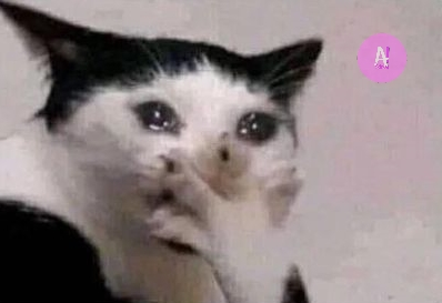 lezpolla's tweet image. Yo leyendo la cantidad de mujeres que tienen vibradores y juguetes sexuales y yo aun sigo sin poder comprar alguno, triste compadre triste.