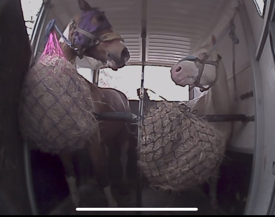 EquineTpj's tweet photo. Amazing trailer camera 
Available from us on the website 
Use code CCTV20 for discount limited offer 
https://t.co/AKxToknzlB 

#horse #pony #horsetrailer #equestrian #equine #farming #farmlife https://t.co/tsHm4XNmbN