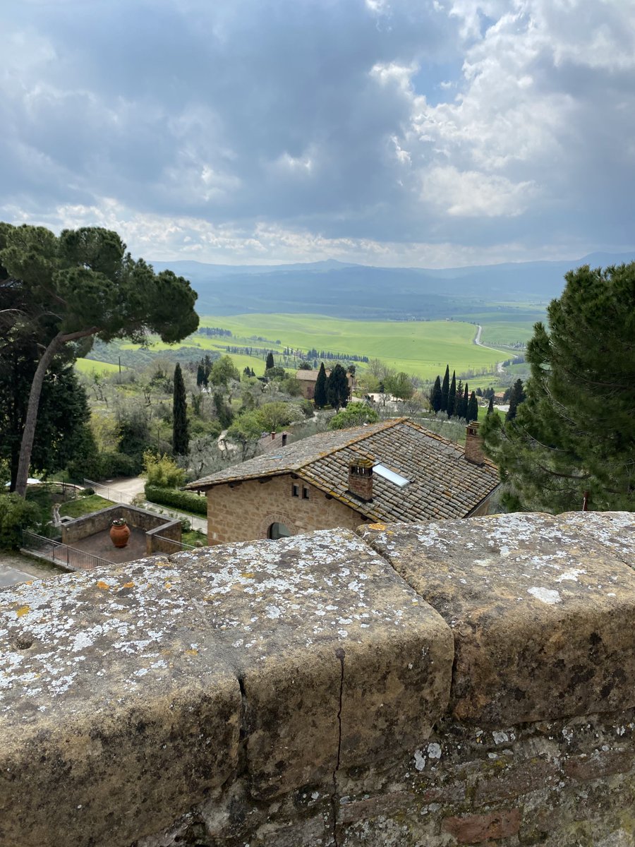 Michelle McDonald tweet media