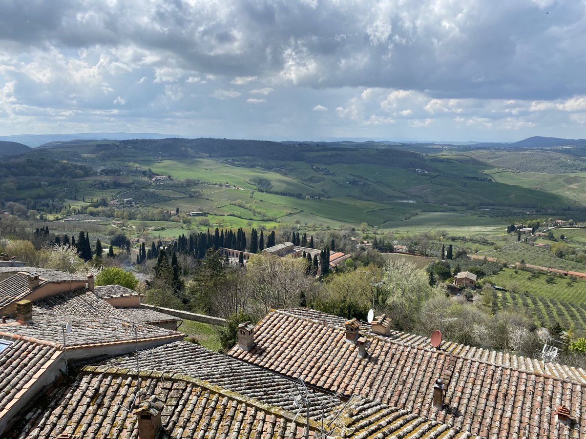 Michelle McDonald tweet media