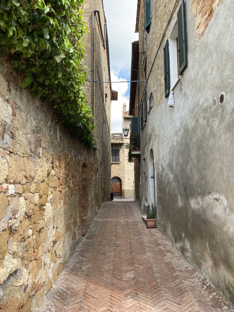 Michelle McDonald tweet media