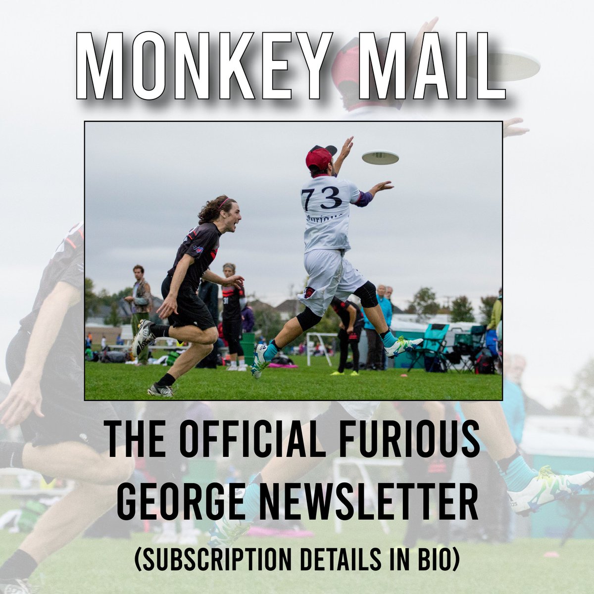 Furious George tweet media