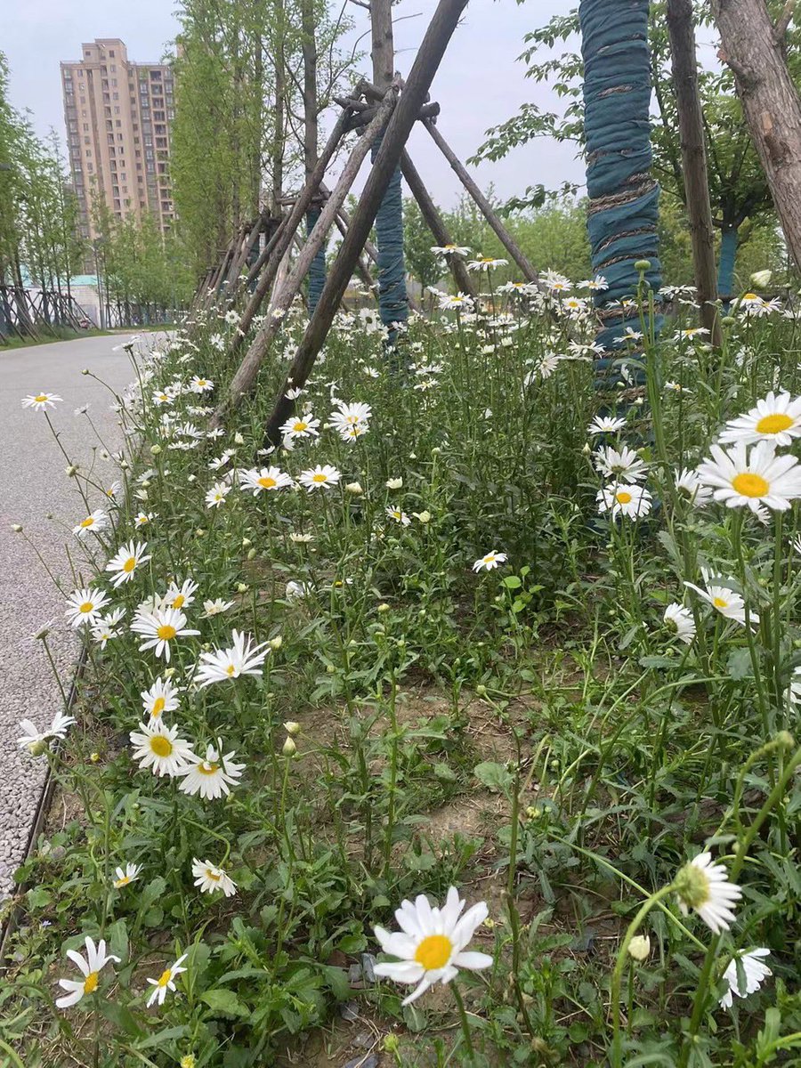 Ly258456's tweet photo. https://t.co/T2SjyteABU