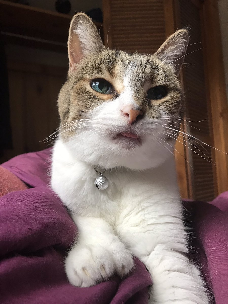 She’s gaining sentience