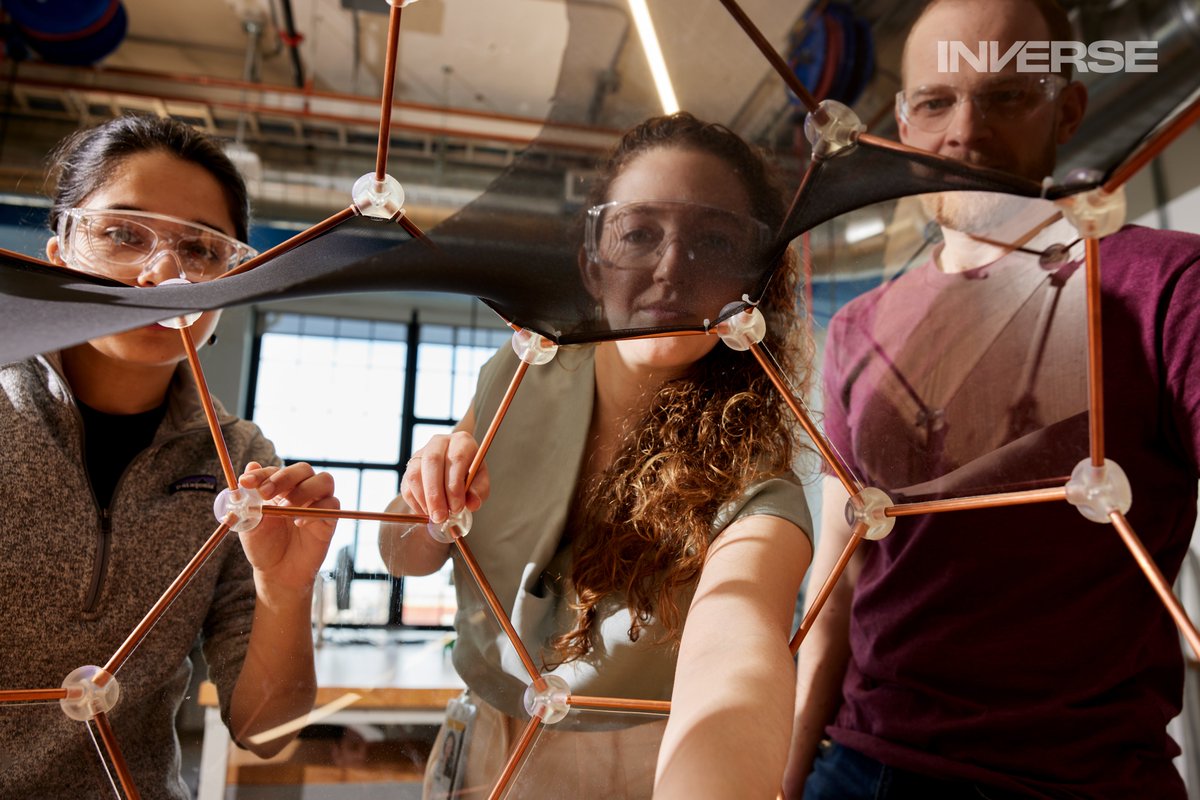 Aurelia Institute tweet media