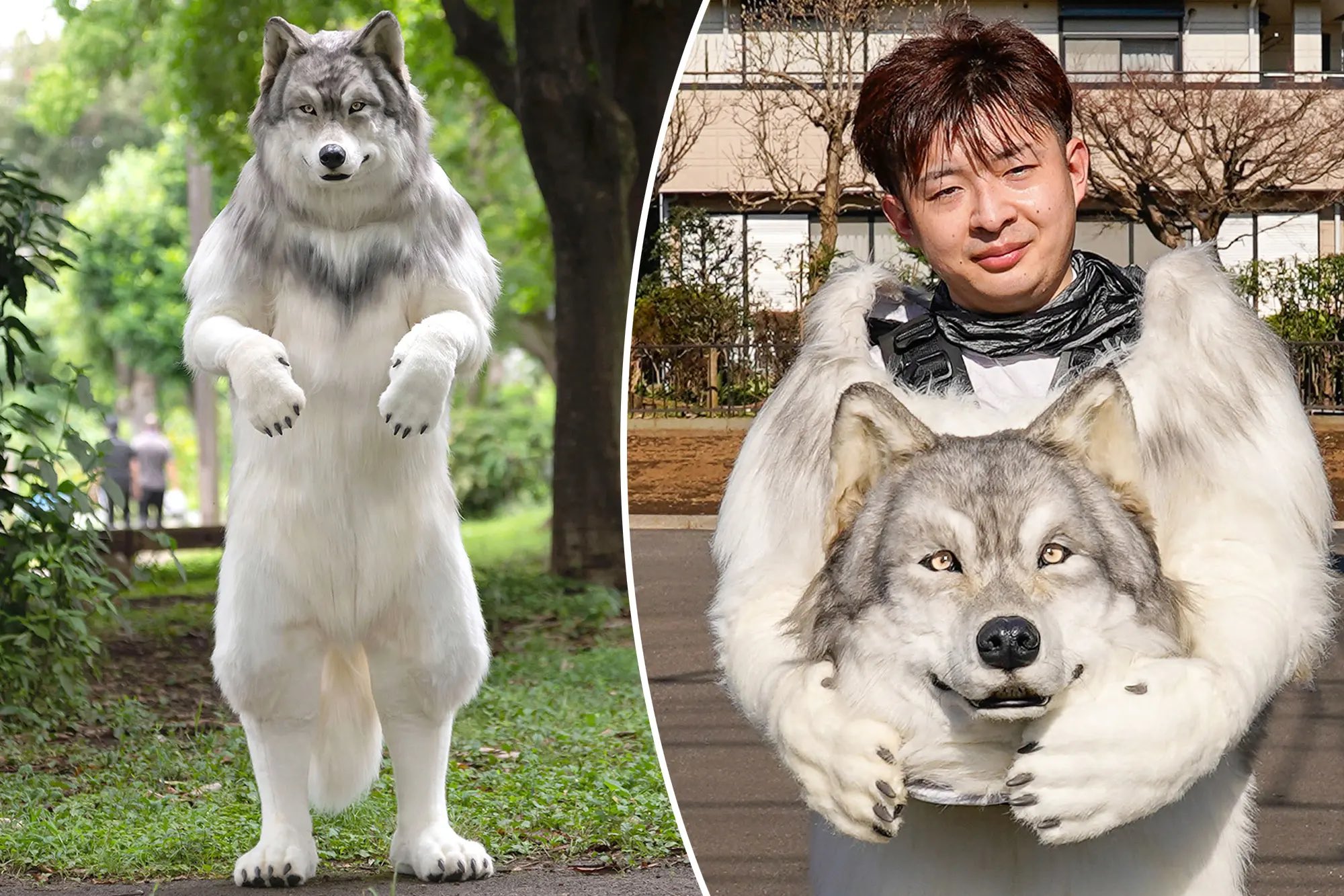Oli London on Twitter "Japanese man identifies as a wolf 🐺 Toru Ueda