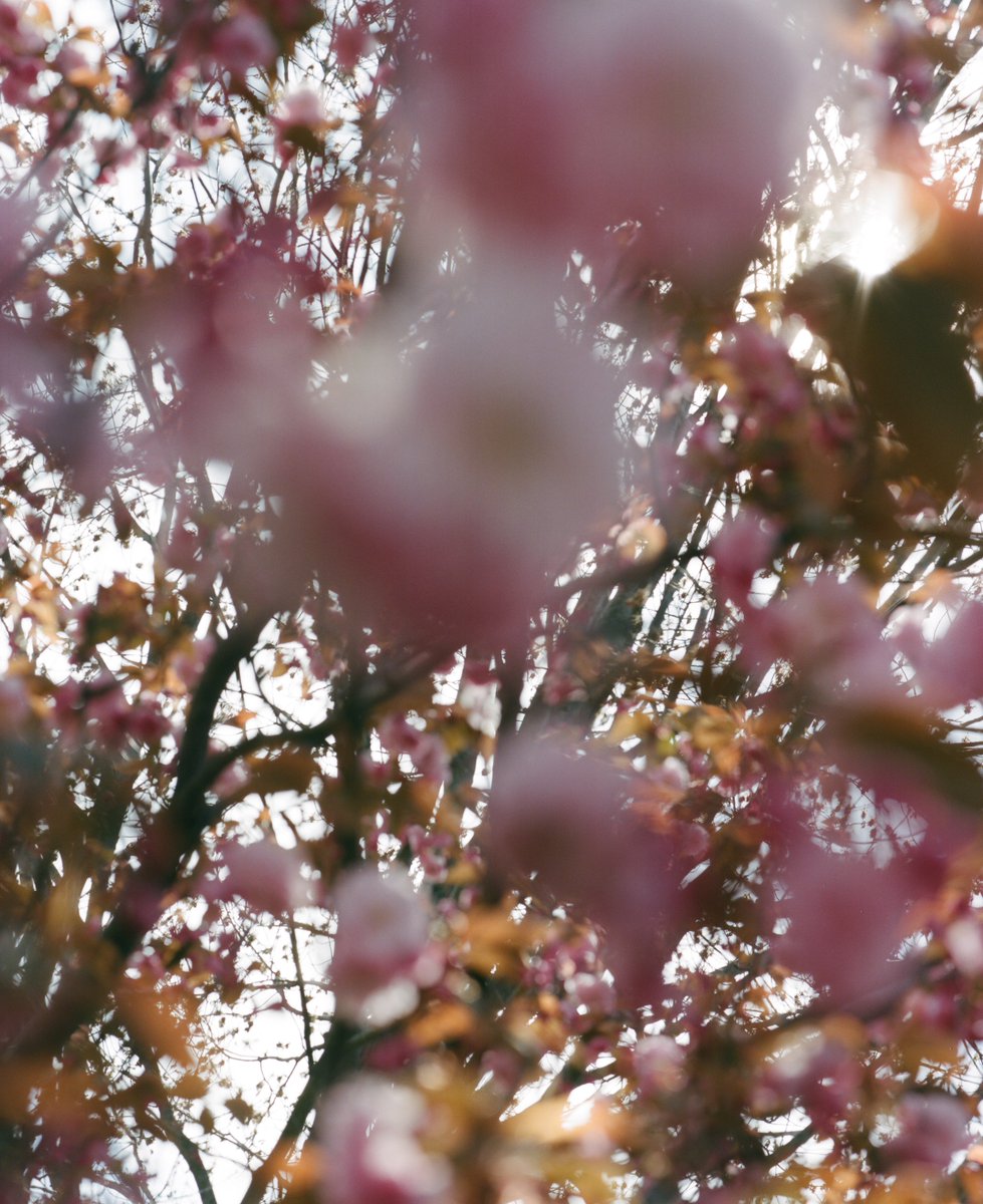 iamgking's tweet image. IT USED TO HURT MORE EP AVAILABLE EVERYWHERE NOW. Project based on disassociating the romantic definition of love that we’re familiar with and instead focusing on other aspects of care that are necessary in understanding love. Strong references to bell hooks All About Love 👑🌸