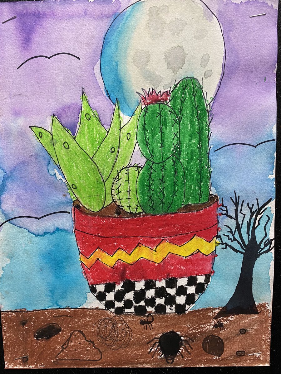 MrsCaitlinMunro's tweet photo. Water colour, oil pastels and baby oil were used to create these succulent gardens @darwinLRSD https://t.co/mppE0InJ2u