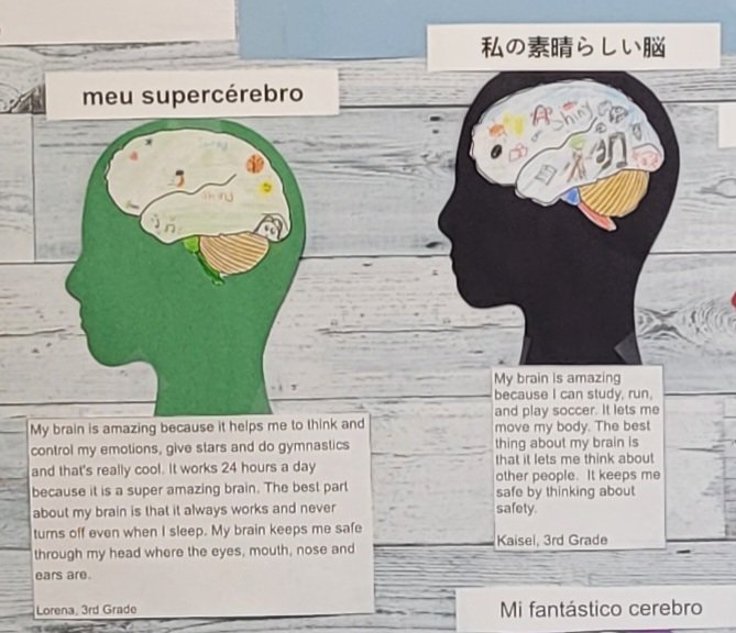 BeltzRob's tweet photo. Translanguaging at @novivillageoaks. The research doesn't lie. Students learn best when encouraged to process and connect in both their 1st & 2nd, and sometimes even 3rd language. @ncsd #AEN #ESL #translanguaging #VOHeart https://t.co/trsUjbSnEc