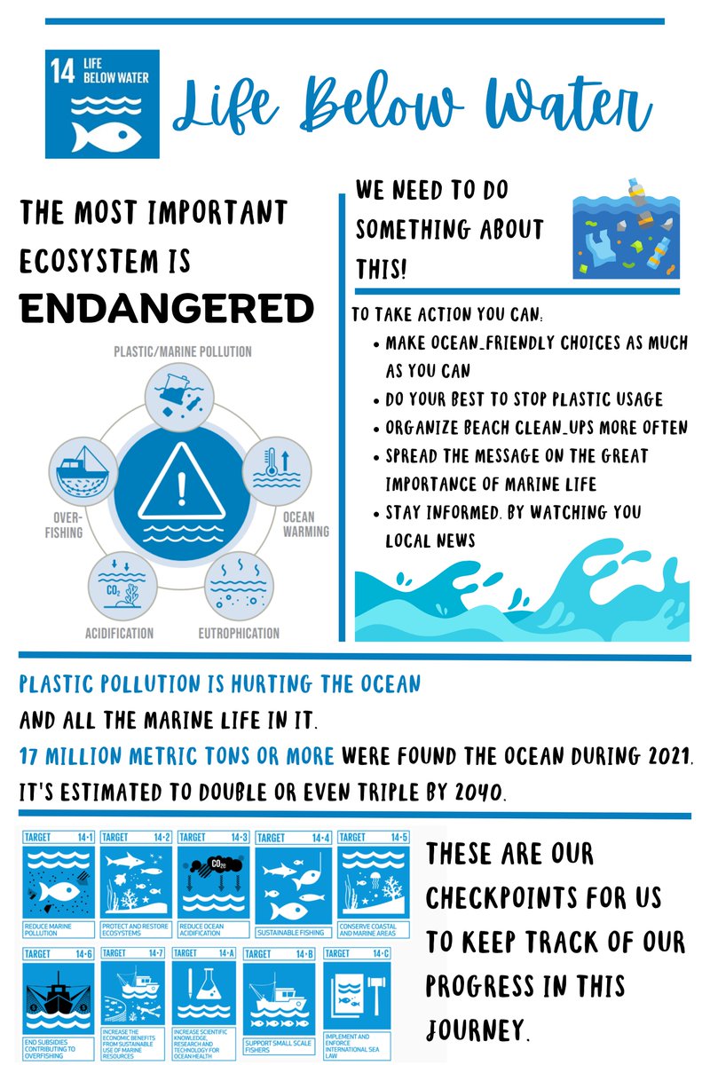 Cynthia Belliveau tweet media