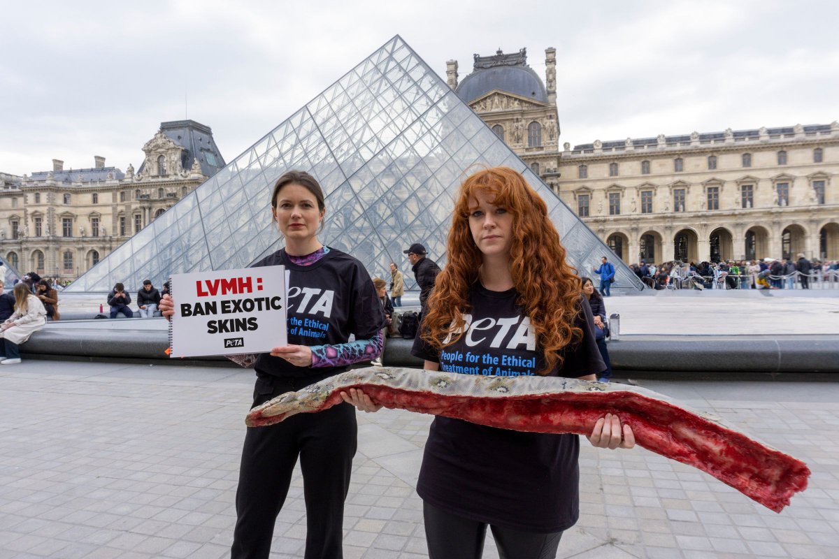 PETA UK tweet media