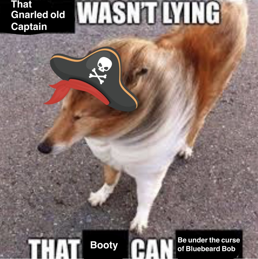 pirate_posting's tweet photo. https://t.co/NT5L9lcJhs