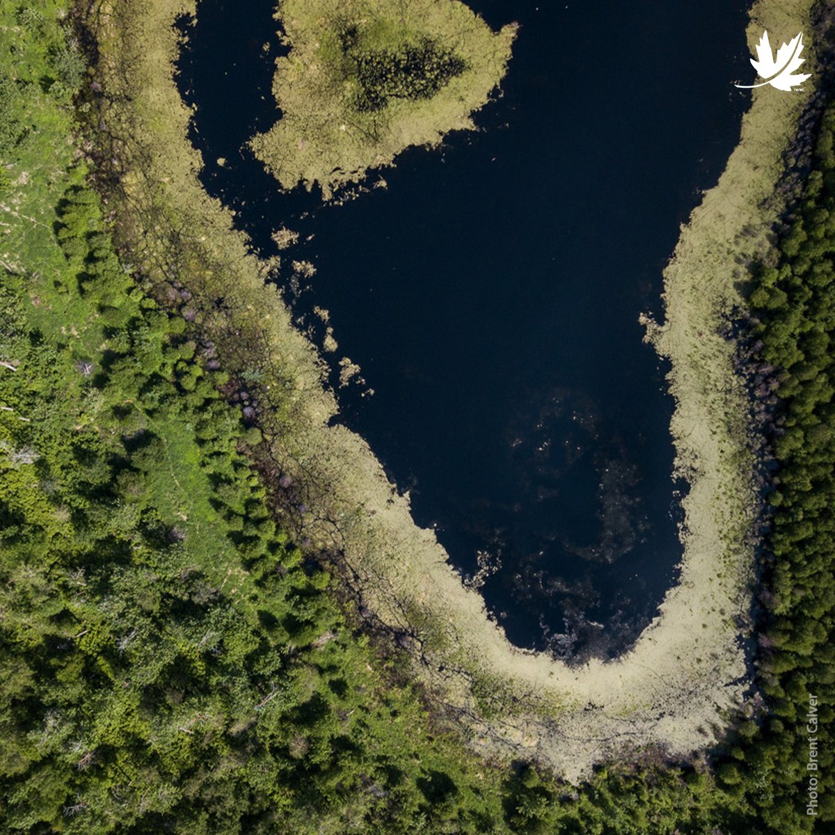 NCC_CNC's tweet photo. This #ThankYouThursday, we're celebrating @KeyeraCorp for their generous donation of $75,000 CAD that will go towards advancing conservation in Alberta. Part of this investment will support NCC's 'Keep The Beaver Hills Wild' campaign. Read more: https://t.co/FhnJFG1Pgm #EarthWeek https://t.co/3zSGoMEoDd
