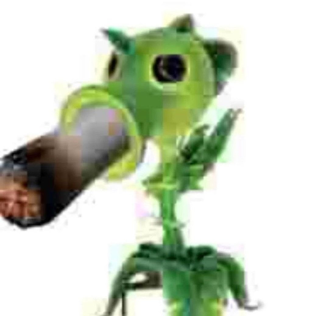 gm to all the homies celebrating leef day