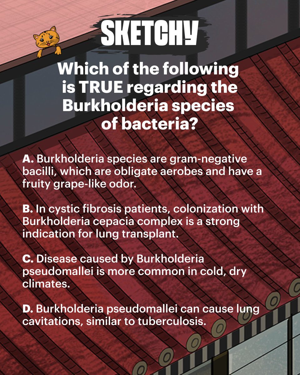 SketchyLearning's tweet photo. Think you know micro? Test your knowledge of Burkholderia, then head over to Sketchy for a free trial and learn the story of the Burkhold burglar!
Check your answer: https://t.co/EEtAgexl10
#medschool #quizquestion #step1 #testquestion https://t.co/Mspi27G0Nz