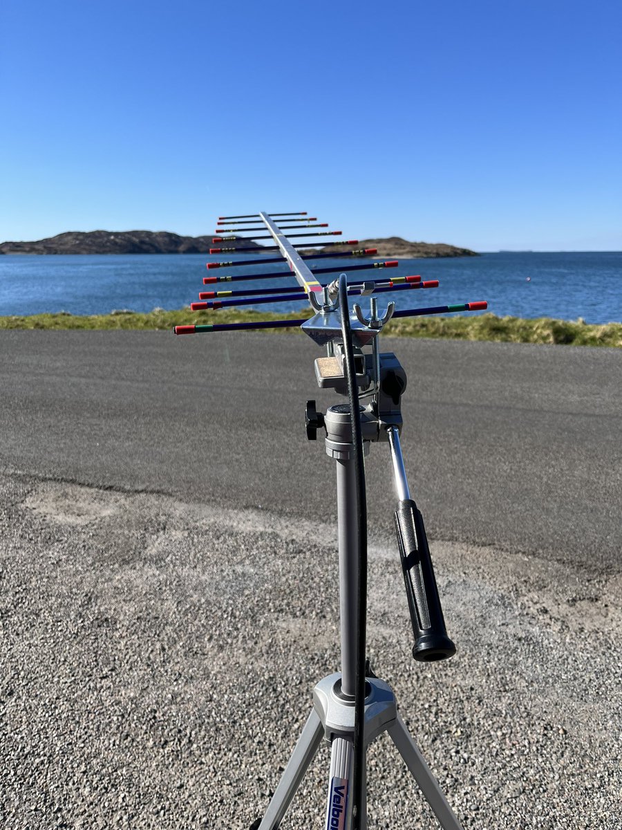 Nick M 1 D D D tweet media