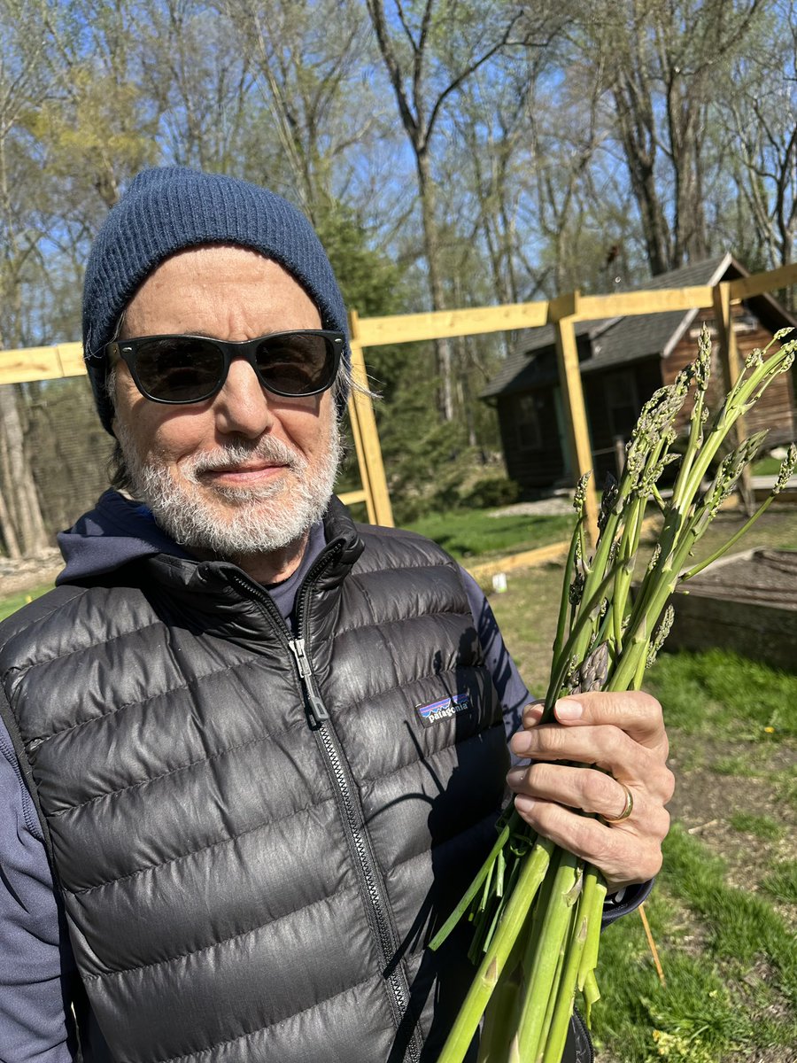 Our first asparagus & chives from the garden: hello to Spring! #chrissarandon #celebritycooking #jackskelington #frightnight #princessbride #childsplay #cookingbyheart #GreekAmerican #homegarden #tinyfarm #asparagus #veggietales #vegtablegarden #hellospring #itmightaswellbespring