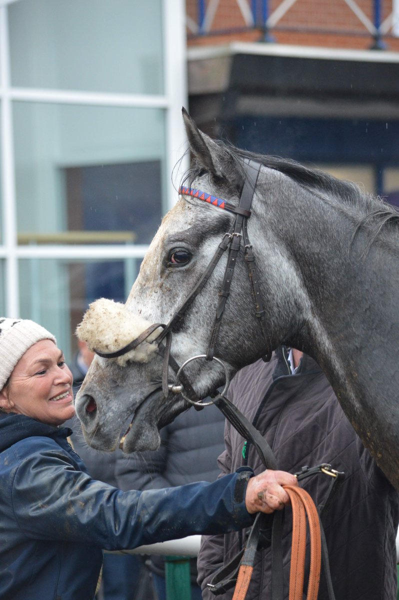 Leicester Racecourse tweet media