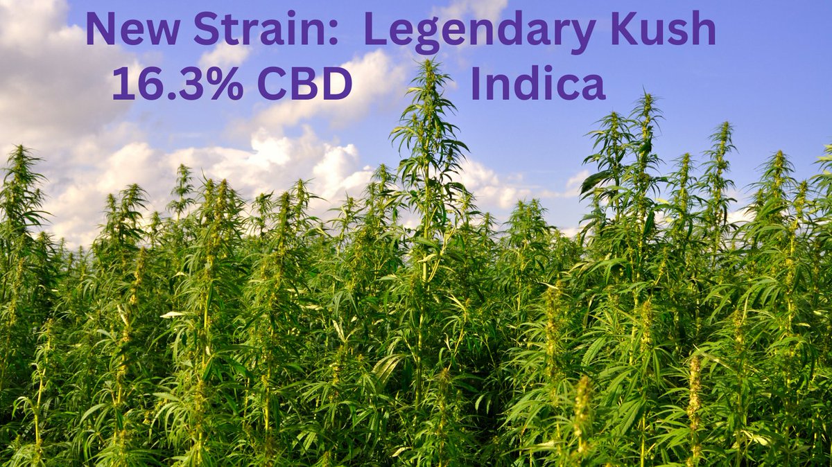azhemphealth's tweet photo. Great to mix in with that high THC flower and experience The Entourage Effect....
#cbdflower #entourageeffect #hempflower #hemphealth #legendarykush #kush #420 #smoking #cbd https://t.co/n1hVdKqtAF