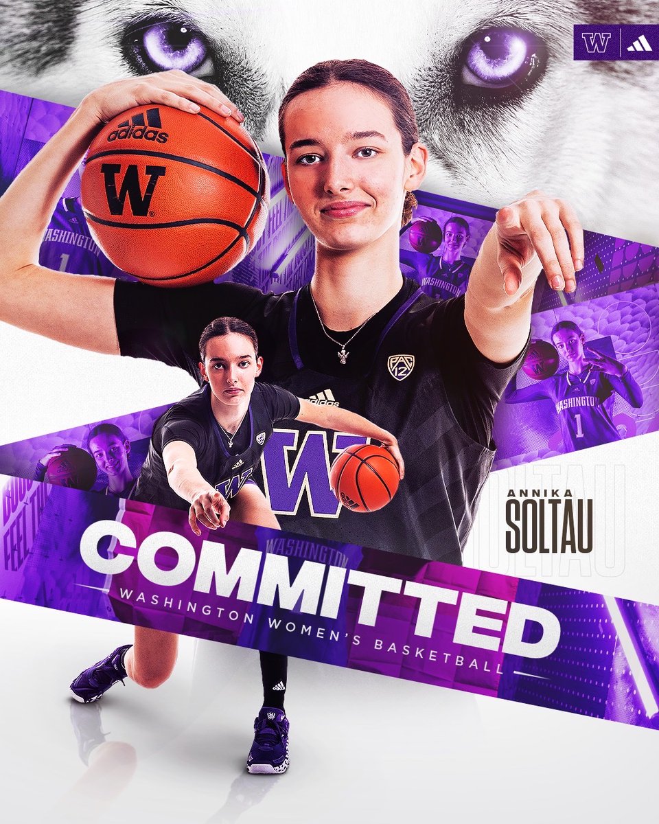 annika soltau tweet media