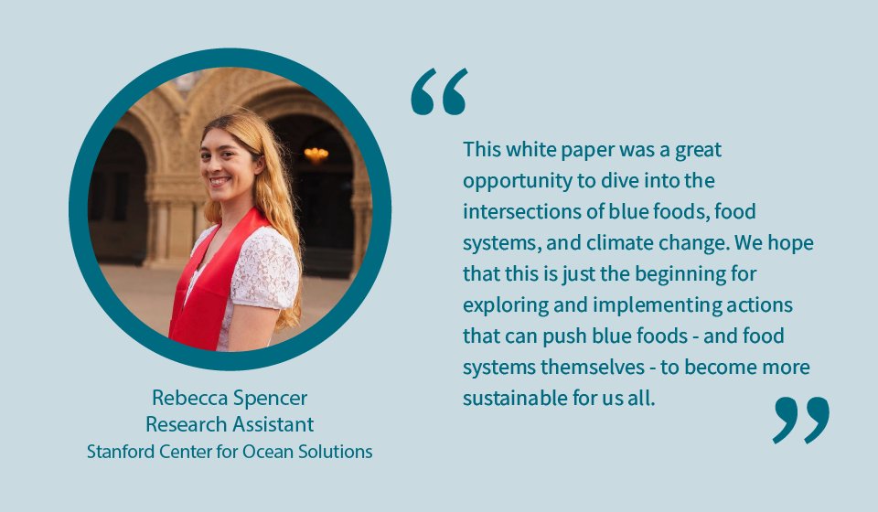 Research Assistant @rebeccalspen reflects on the research process of a recent white paper (🔗bit.ly/BlueFoodWP) on #BlueFoods &amp; climate w/Research Scientist @drticklejar ⤵️

🔗 Explore how COS mentors future ocean leaders: oceansolutions.stanford.edu/about/student-…
