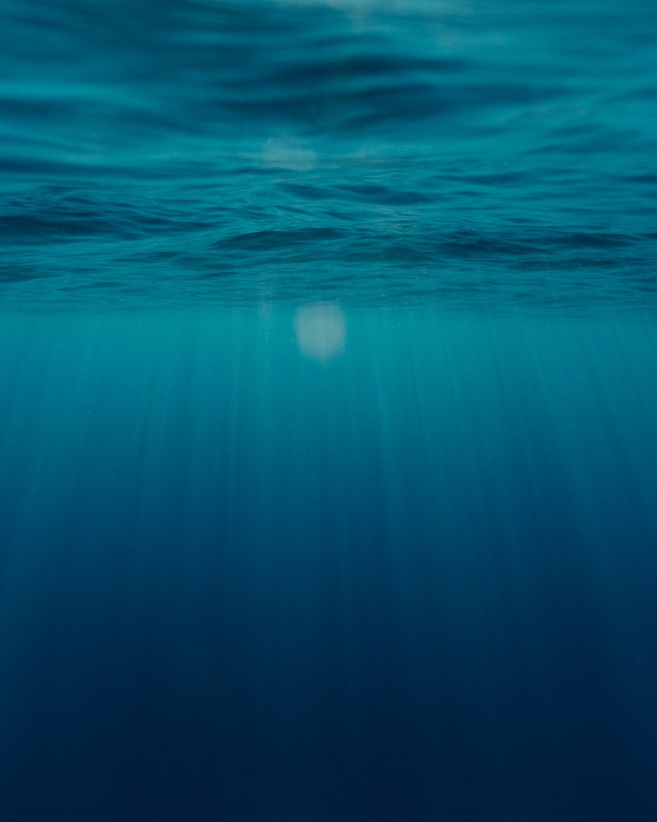 cinnadine's tweet image. A play of light 🌊